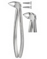 Extracting Forceps American pattern 