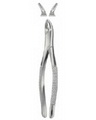 Tooth Forceps for Children 