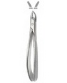 Tooth Forceps for Children 