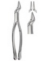 Extracting Forceps American pattern 