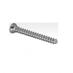 Bone Screws