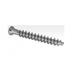 Bone Screws