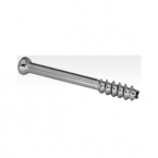 Bone Screws