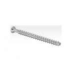 Bone Screws