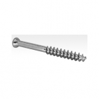 Bone Screws