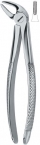 Extracting Forceps English pattern 