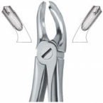 Extracting Forceps English pattern 