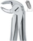 Extracting Forceps English pattern 