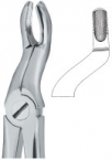 Extracting Forceps English pattern 