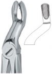 Extracting Forceps English pattern 