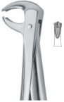 Extracting Forceps English pattern 