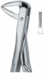 Extracting Forceps English pattern 