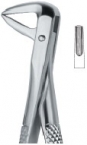 Extracting Forceps English pattern 