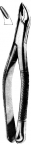 Extracting Forceps American pattern 