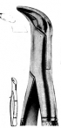 Extracting Forceps American pattern 