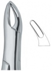 Extracting Forceps American pattern 