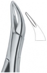 Extracting Forceps American pattern 