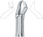 Extracting Forceps American pattern 