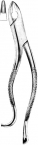 Extracting Forceps American pattern 