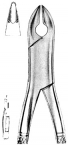 Extracting Forceps American pattern 