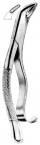 Extracting Forceps American pattern 