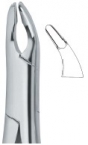 Extracting Forceps American pattern 