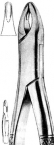 Extracting Forceps American pattern 