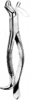 Extracting Forceps American pattern 